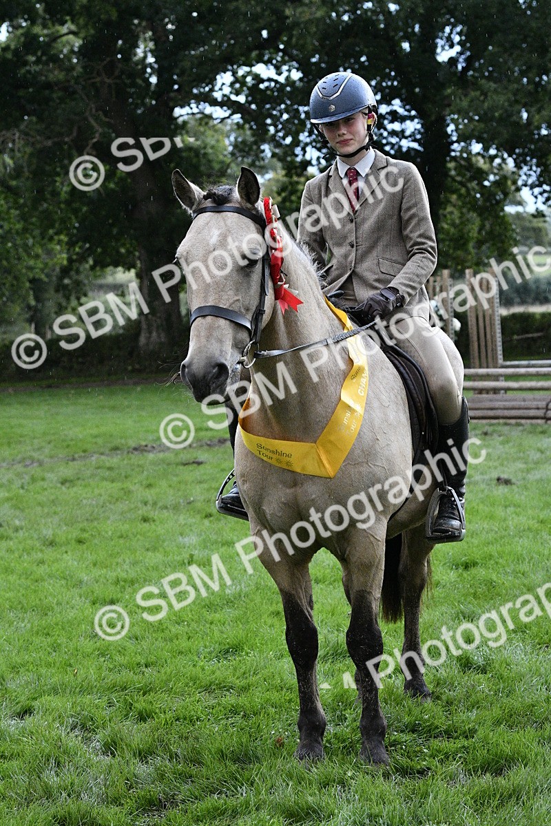 SBM_53351 - S14 - Riding Club Horse