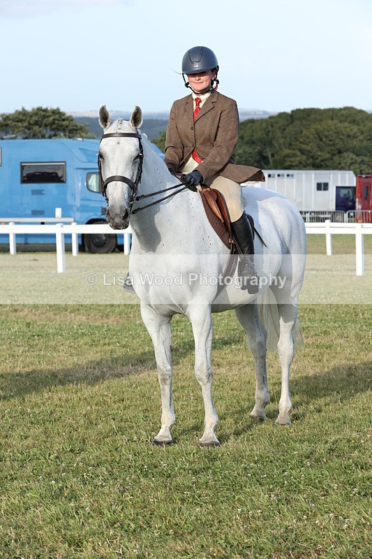 JPP_3709 - Class 24: Open Working Hunter