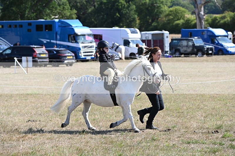 WJ6_7842 - Class 36 Lead Rein