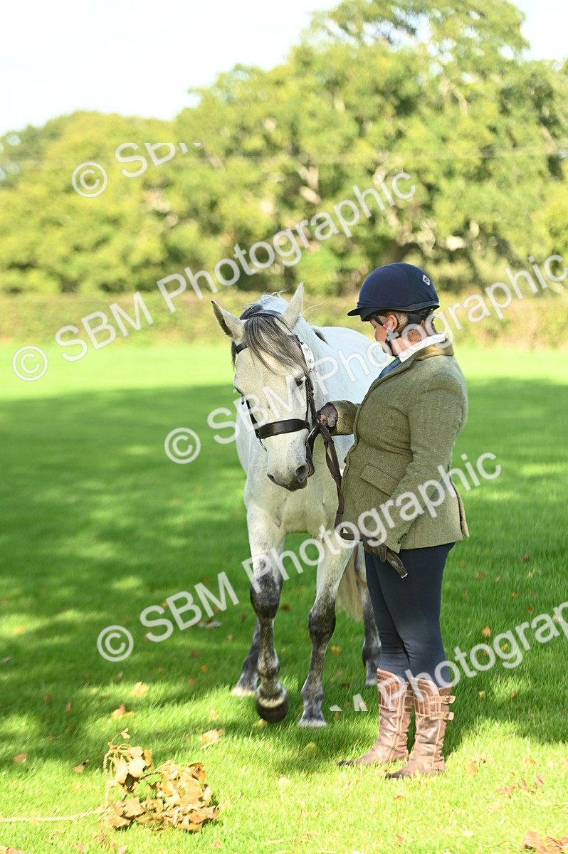 SBM_15883 - S1 - TSR in Hand Horse & Pony Showing