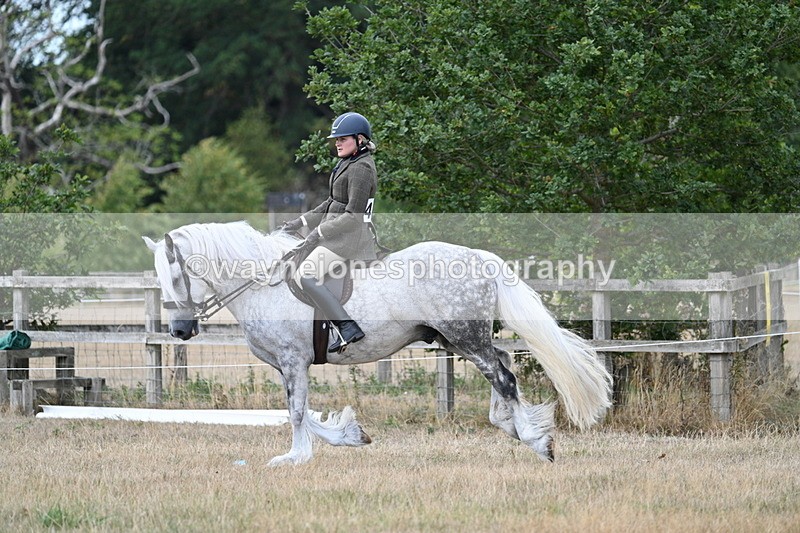 WJ7_5133 - Class 12 Ridden Cob