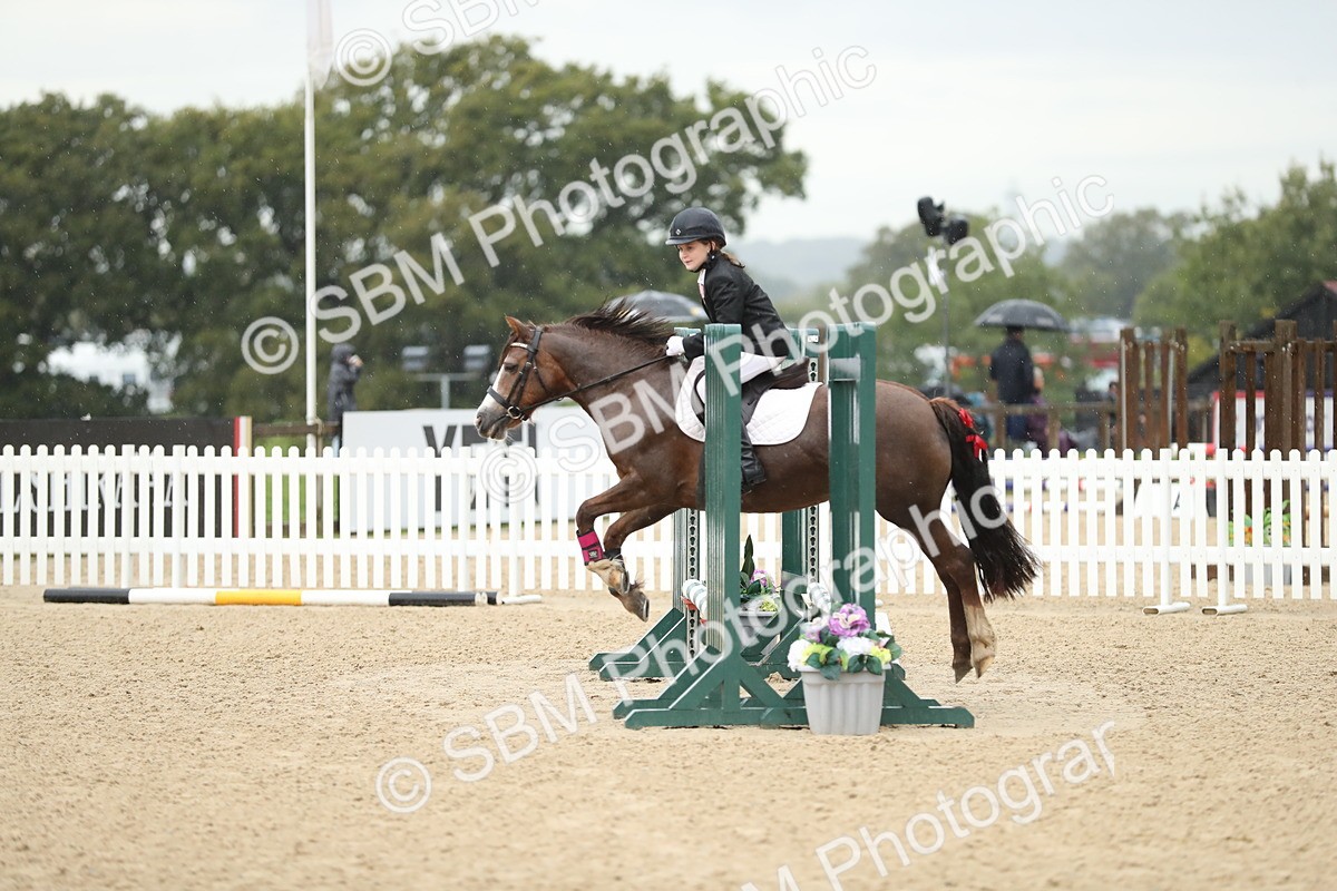 SBM_34379 - J60 Clear Round 50cm