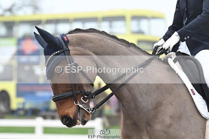 240217A-115556-02471 - 228-Abby.Bannell-Royal.Dalliance