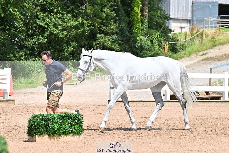 240718A-105318-01816 - Trot Up 1pm to 2pm