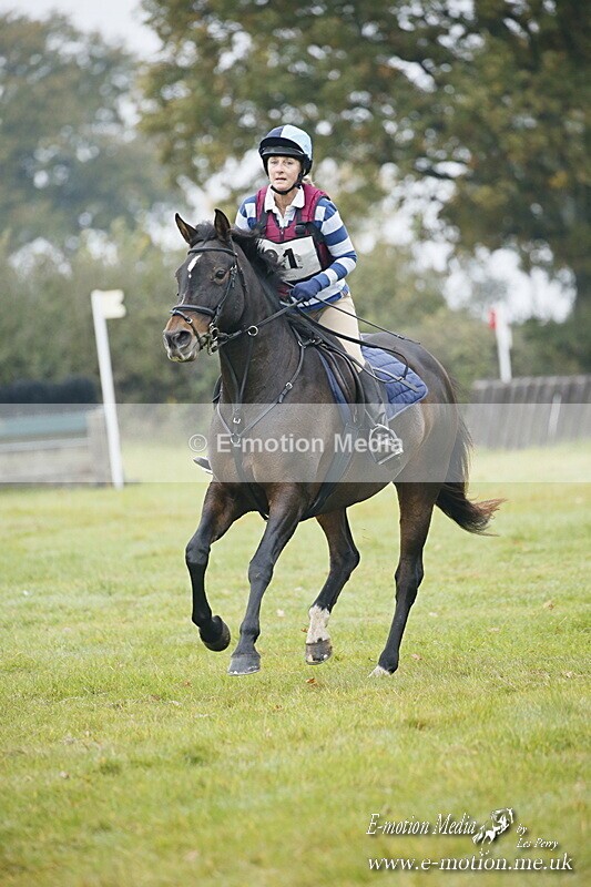 WWHT 181020 WWHT 181020 454 - WWEC Open Novice (0.80m) 18/10/20