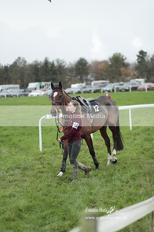 PtP 271122 389 - Hursley Hambledon Hunt Point-to-Point - Larkhill - 27/11/22