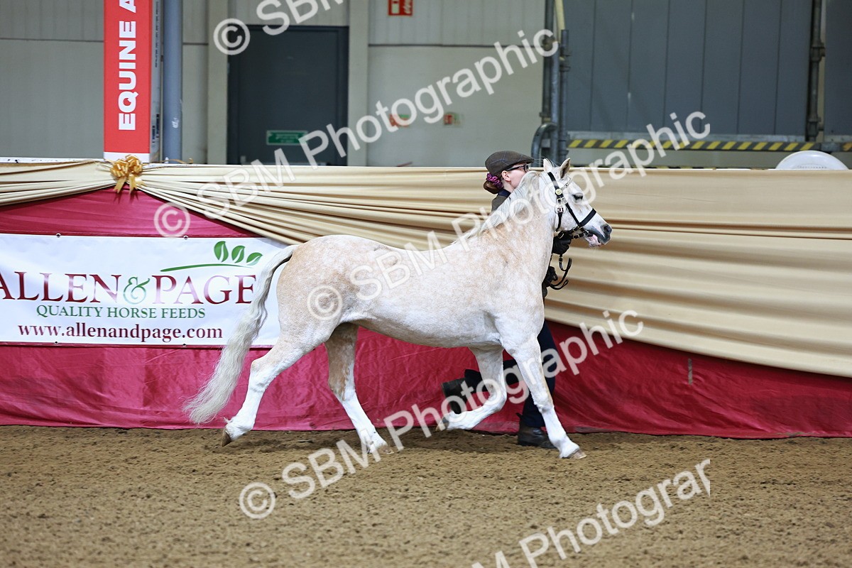 SBM_21632 - Class 901 - Supreme Final - IH  Diamond