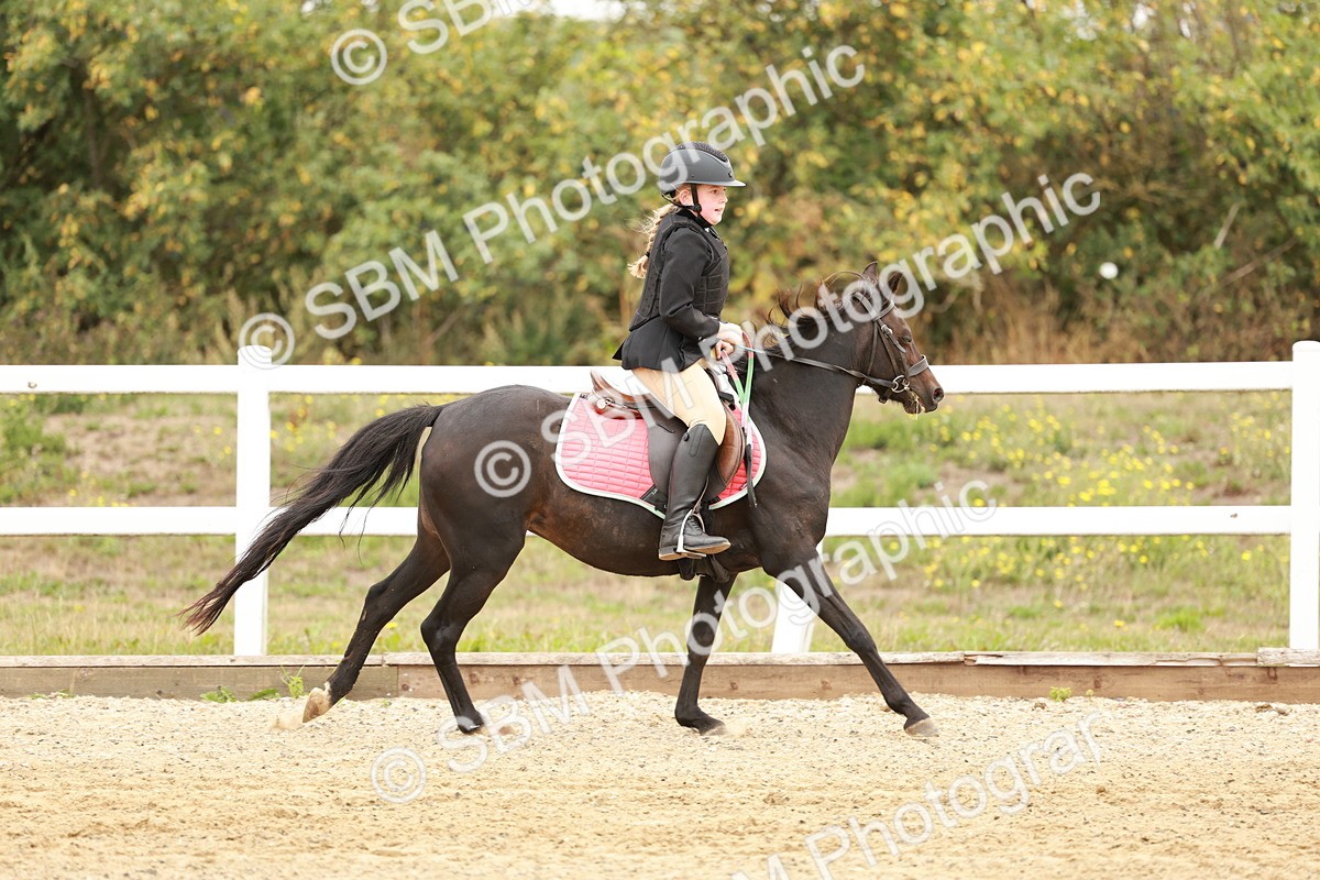 SBM_007213 - Class 2 - 50cm