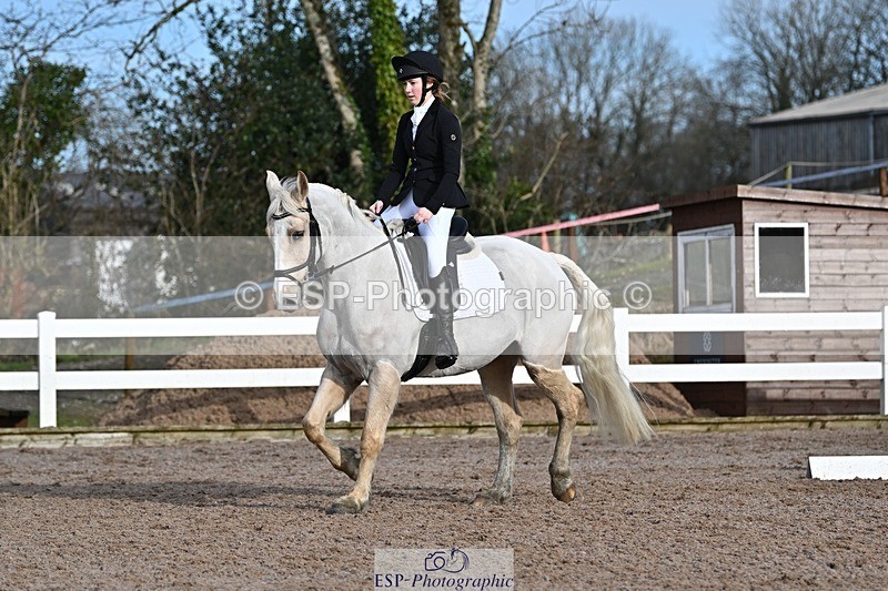 250125-111404-00288 - Dressage - CT Class 5 BE95 (90cm)
