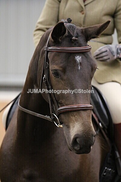 SIAL2937 - Sunday 14th Ridden