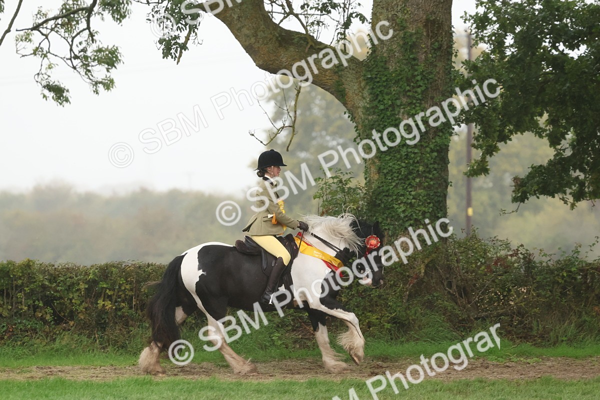 SBM_73216 - Super Supreme Championship(Sun)