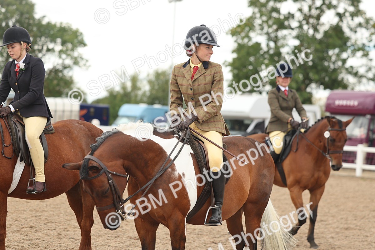 SBM_16061 - Class 311 - Ridden Show pony-Show hunter Pony