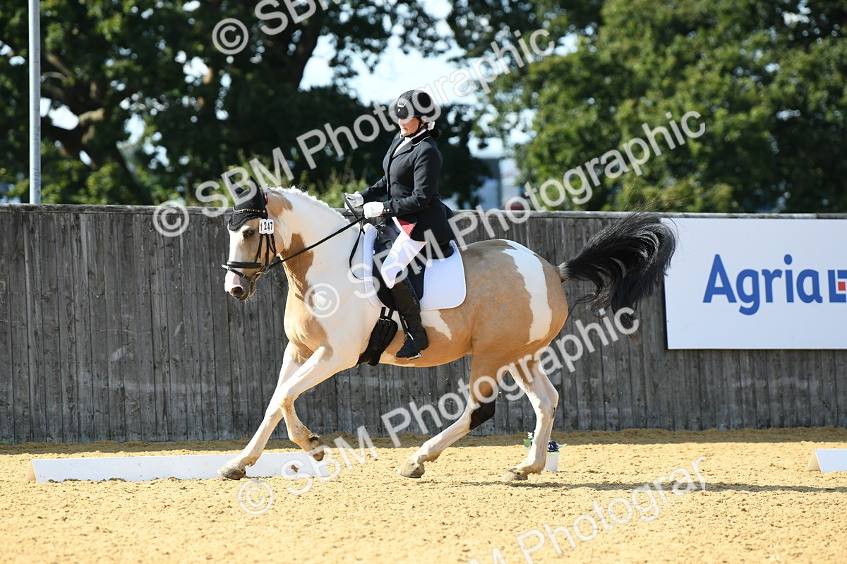 SBM_25131 - D13 - Grand Tour Championship - Prelim 12