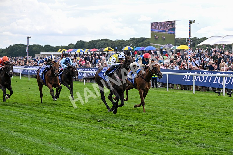210826-Race 3-Arapaho Gold-5765 - Race 3 15.00pm Al Basti Equiworld Dubai Gimcrack Stakes