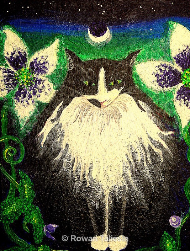 Queen of the Night © Rowan Taliesin 2007 - ANIMALS