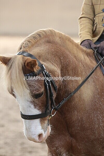 SIAL0875 - Indoor Classes