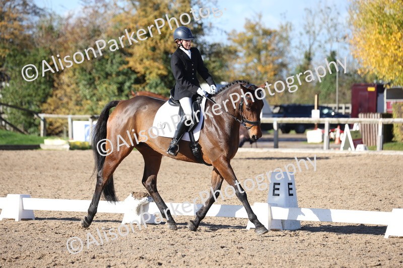 20251102-0876 - Class 5 - Elementary 5