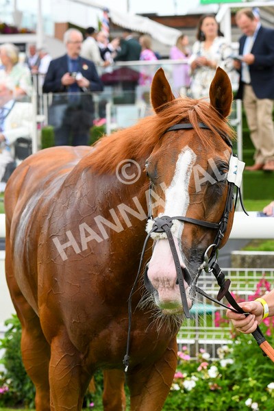 280723-Race 4-Cairn Gorm-0487 - Race 4 6.40pm Tomahawk Restaurants Handicap