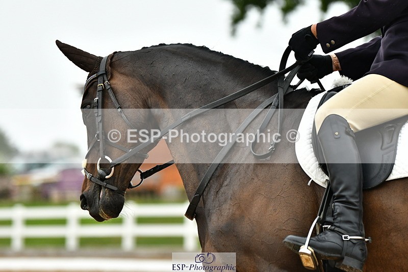 230630A-121249-01526 - Cls 5 Novice 37A