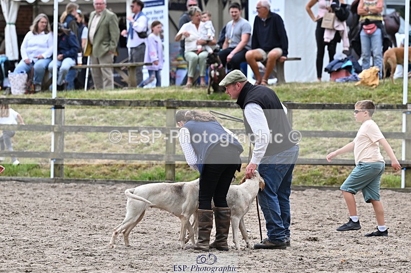 250524A-152537-12738 - East Devon Hounds