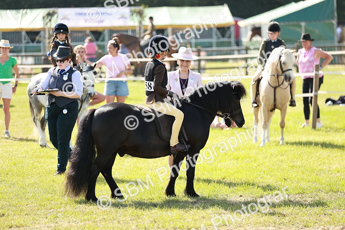 SBM_12584 - Class 106-107 - BSPS LIHS Working Sports Pony
