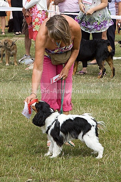  - Spirit of the Dog Funday July 2010