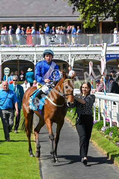 160525-Race 1-Secret Hideaway-6126 - Race 1 2.10pm Clipper EBF Marygate Fillies' Stakes