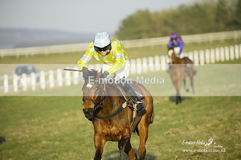 PtP 270222 710 - South & West Wilts Point-to-Point Larkhill 27/02/22