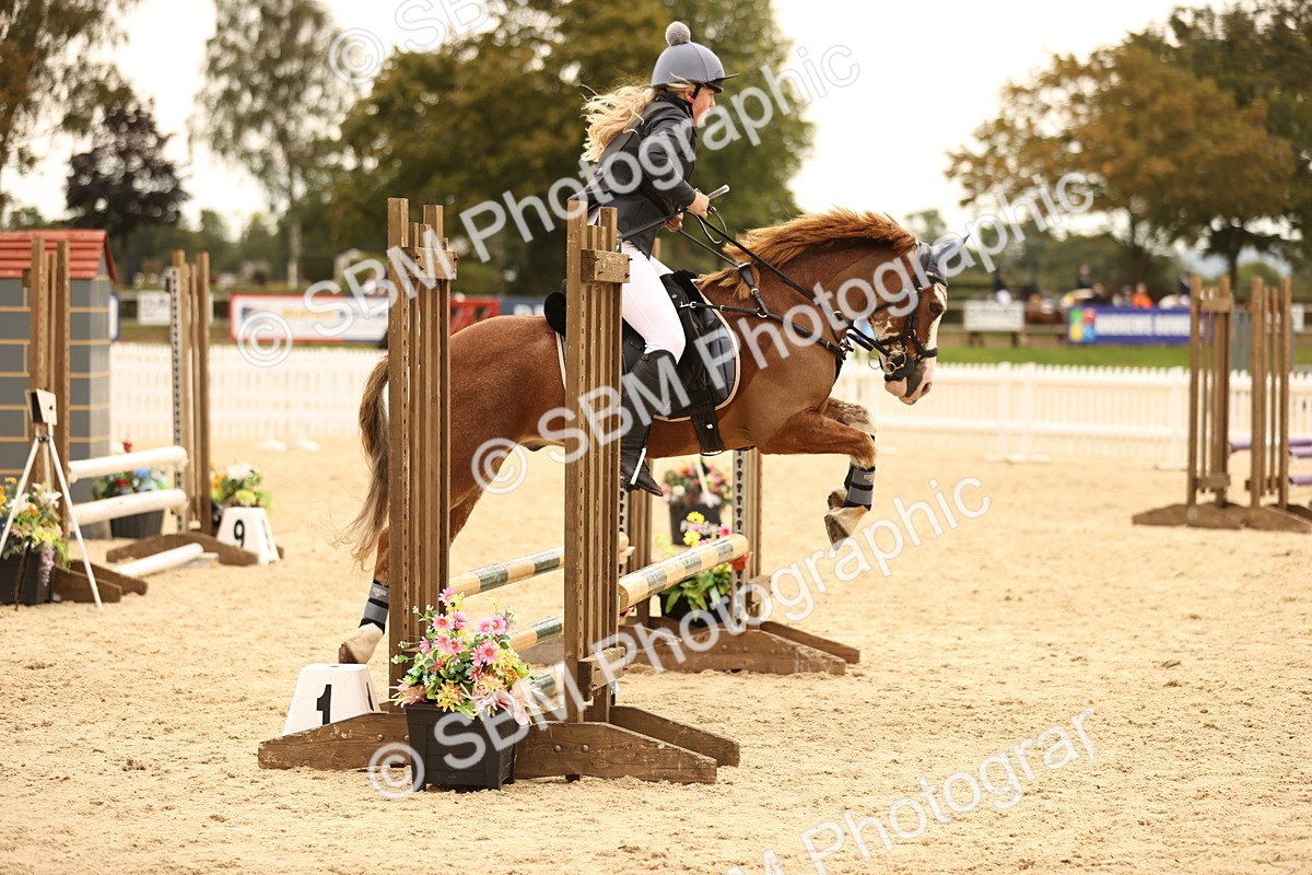 SBM_72668 - J14 - Junior Pony 65cm Championship