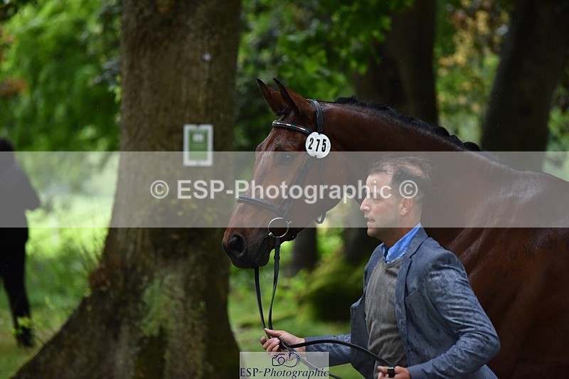 240522-162234-00873 - 275-SFS_ARRANO-Roberto_Scalisi