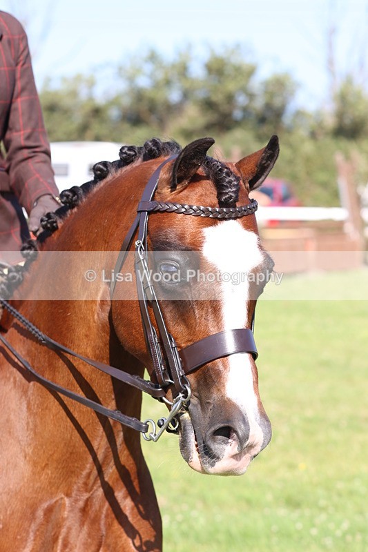 JPP_1442 - Class 18: Cornish Combination Young Rider