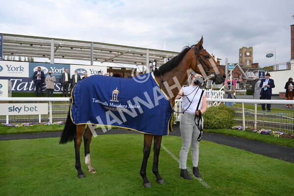 yr12052021r4-53 - Race 4 3.10pm Tattersalls Musidora Stakes