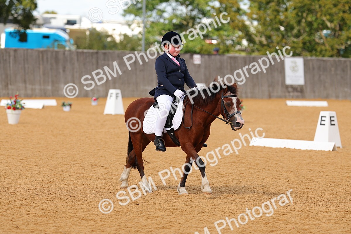 SBM_44071 - D22 - Junior Championship - Intro B