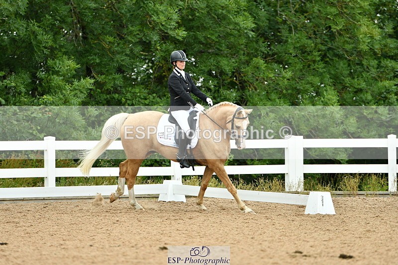 230701A-124135-05795 - Cls 7 Elementary 45