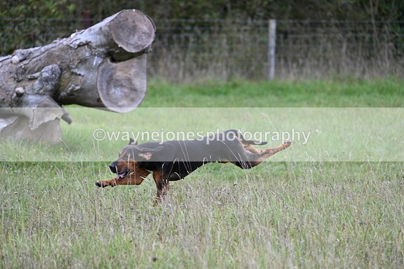 WJ7_3530 - Camera 1 Line 1