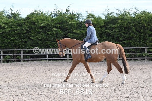 BPP_6818 - RING 1  (RIDDEN HORSES / IN HAND / VETERAN ETC)