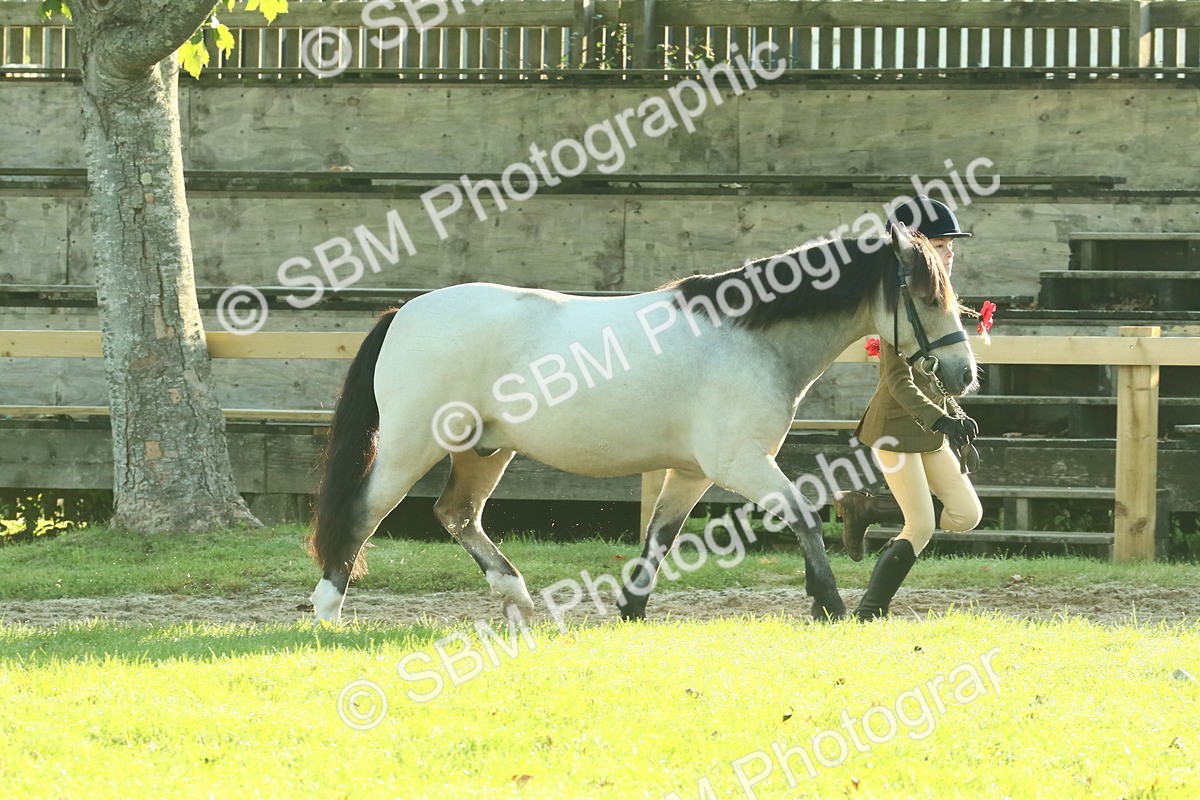 SBM_57387 - S37 - Starters In Hand Showing