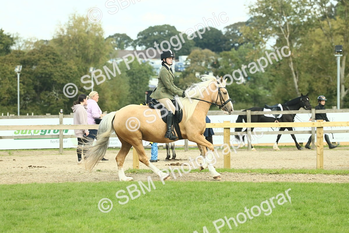 SBM_62663 - S63 - Other Coloured Horse Ridden