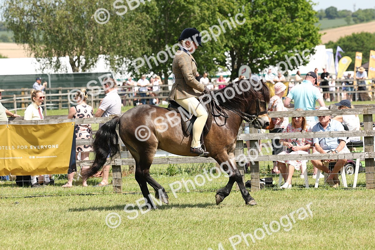 SBM_06822 - Class 26-30 - Mountain and Moorland Ridden
