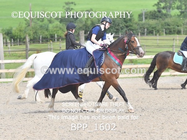 BPP_1602 - DERBY CLASS 3 - 40CM