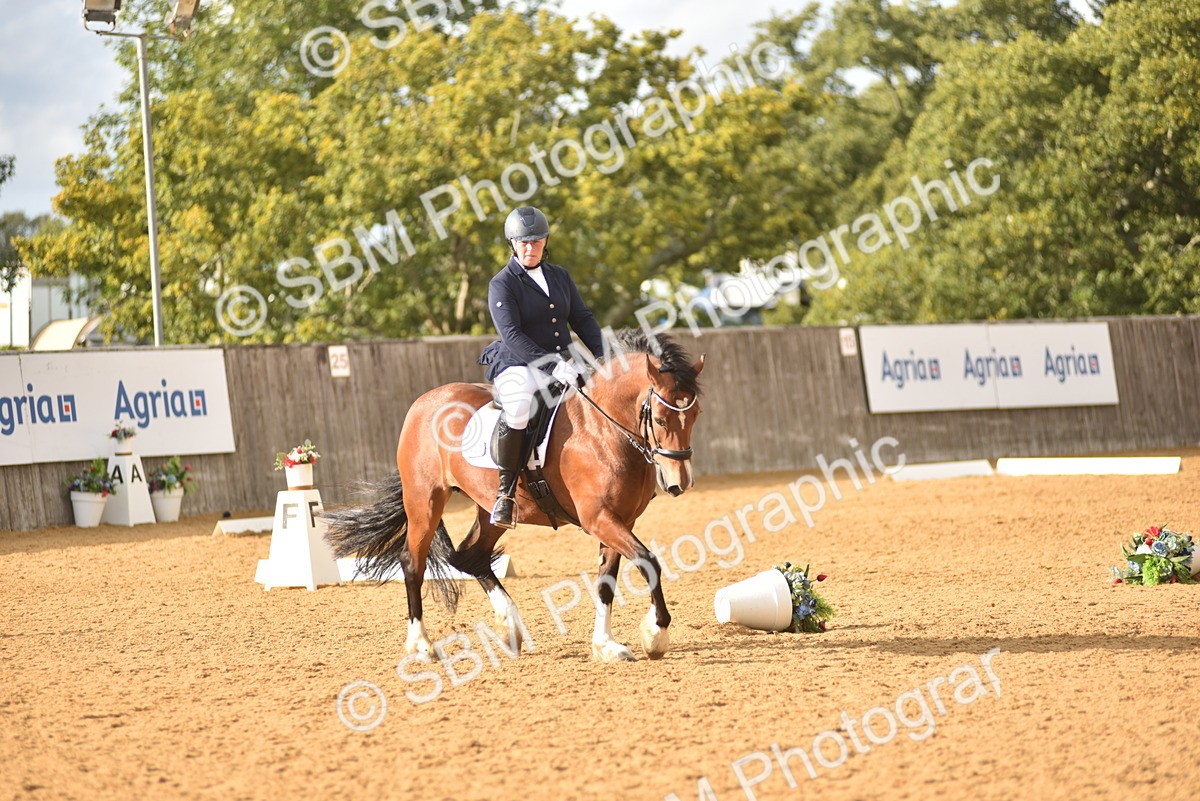 SBM_29651 - D16 -Small Tour Championship Novice 2