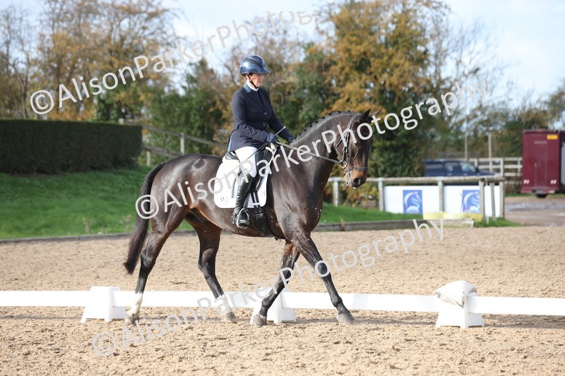 20251102-1122 - Class 6 - Elementary 6