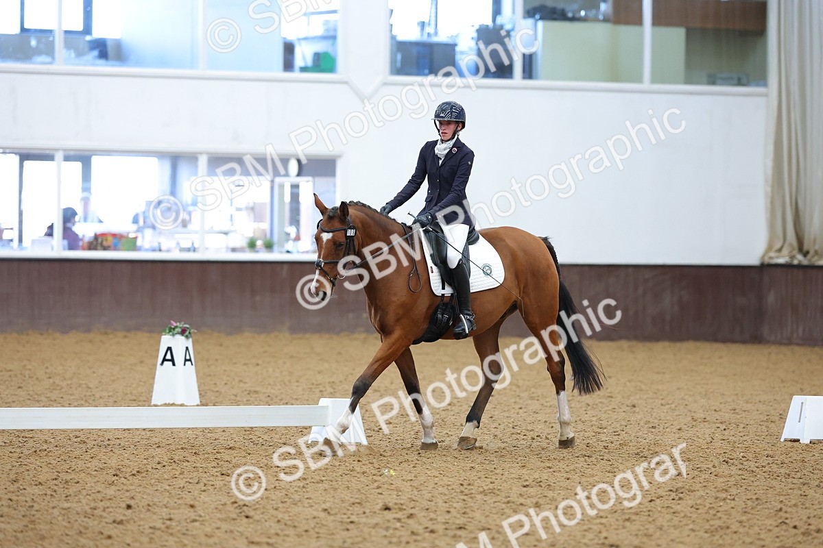 SBM_003049 - Novice