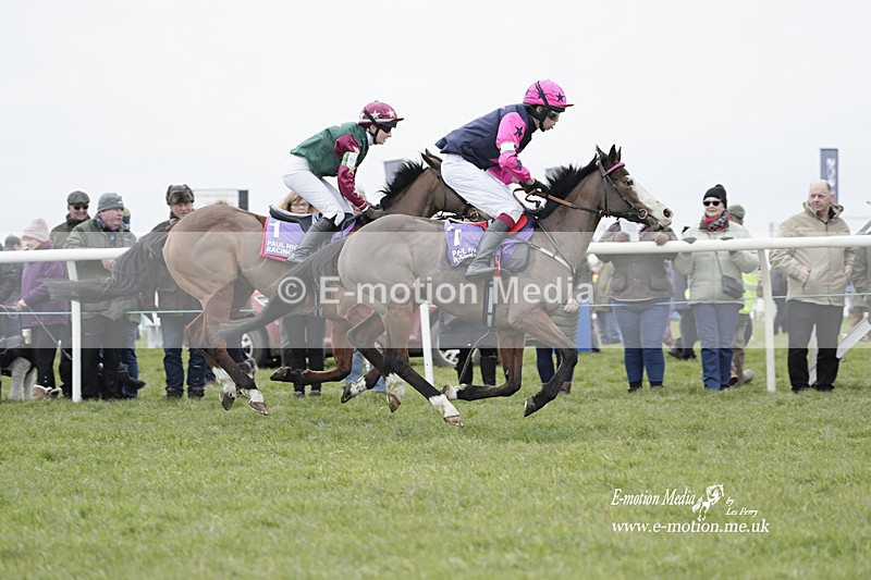 PtP 050323 184 - Blackmore & Sparkford Vale Hunt PtP - Somerset 05/03/23