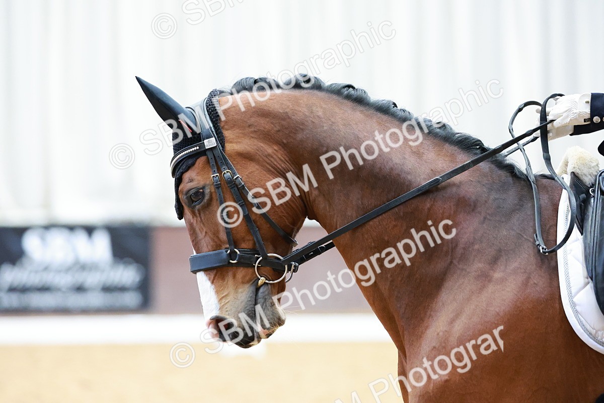 0B8A4921 - Class 11 - M5