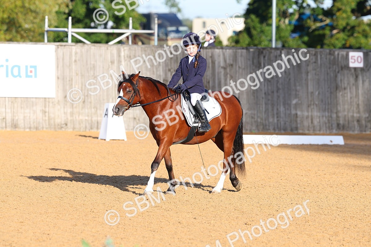 SBM_33507 - D26 - Test Starter Test 1