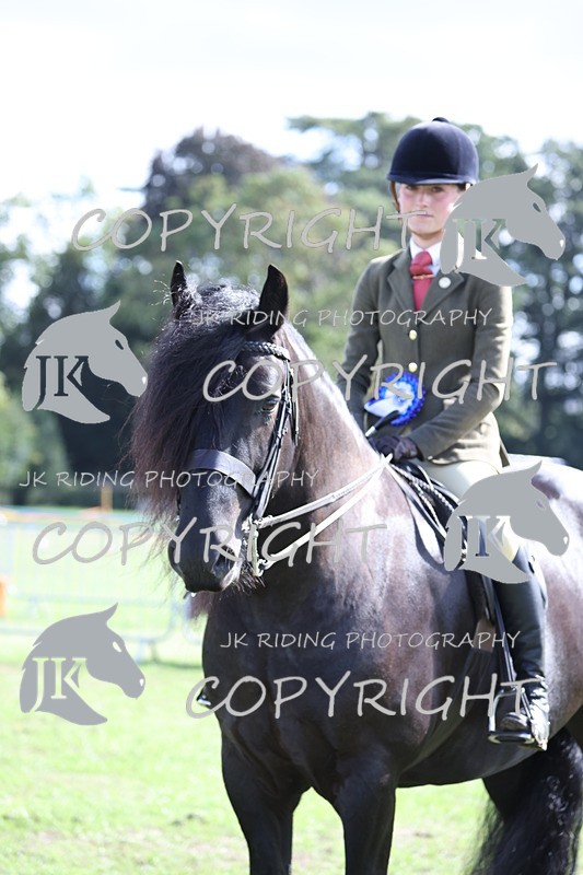 APP_3708 - Class 12 M&M ridden