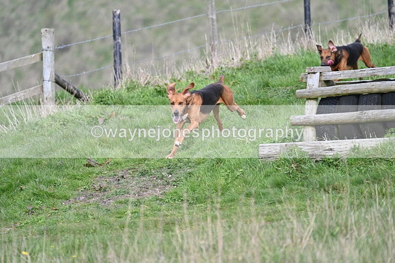 WJ7_8027 - Line 2 A camera