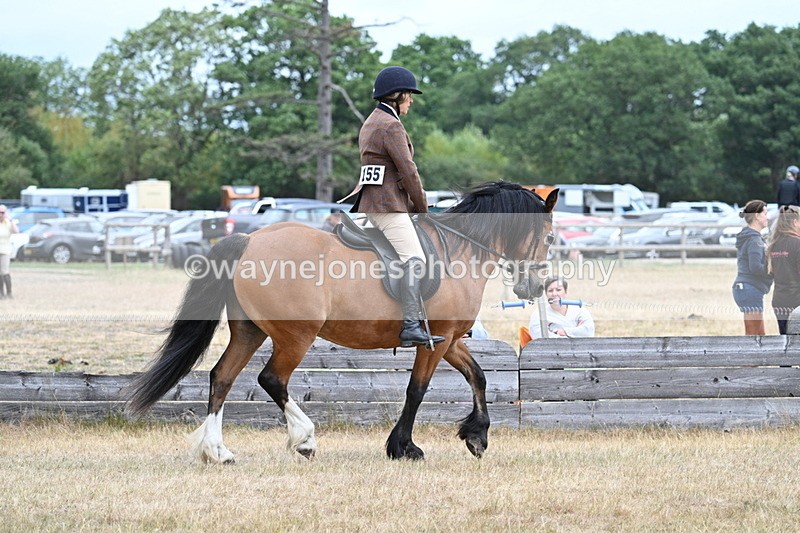 WJ7_0499 - Class 6 Ridden Mountain and Moorland