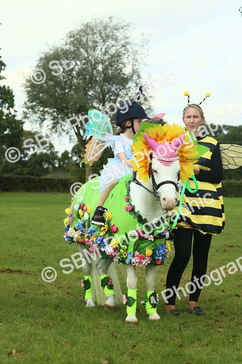 SBM_63669 - S35 - Fancy Dress Showing